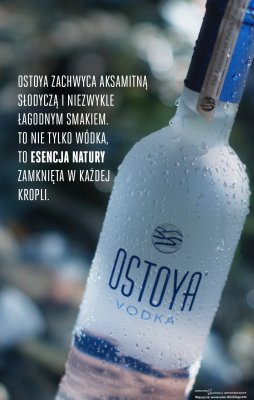 Wódka promocja w Biedronka