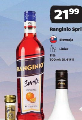 Likier promocja w Netto