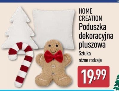 Poduszka dekoracyjna pluszowa, różne rodzaje promocja w Aldi