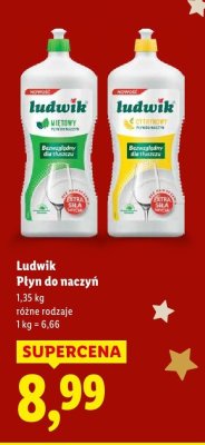 Płyn do naczyń różne rodzaje promocja w Lidl