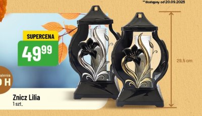 Znicz promocja w POLOmarket