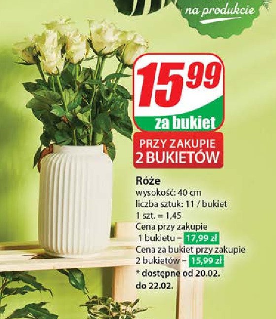 Bukiet róż promocja w Dino