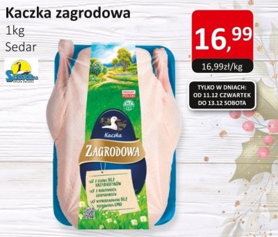 Kaczka zagrodowa promocja w Market Point