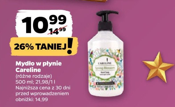 Mydło w płynie spring blossom Careline promocja w Netto