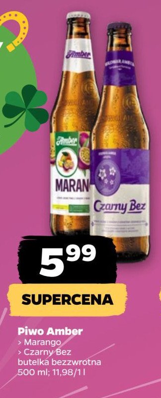 Piwo Amber marango promocja w Netto