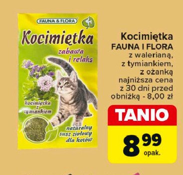 Kocimiętka FAUNA & FLORA promocja