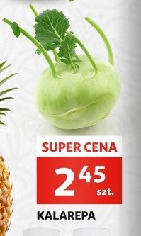 Kalarepa promocja