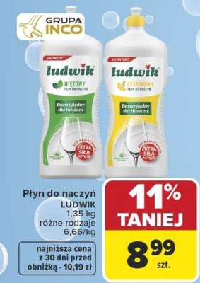Płyn do naczyń LUDWIK miętowy 1,35 kg promocja w Carrefour Market