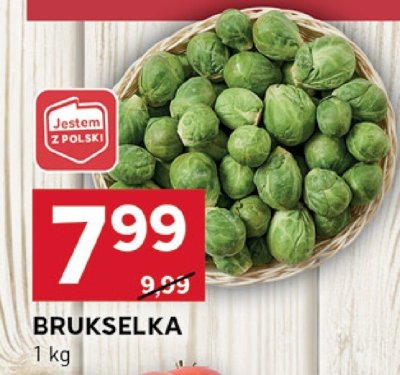 Brukselka Iglotex proste historie promocja w Stokrotka