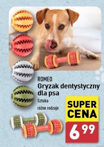 Gryzak dla psa Romeo promocja