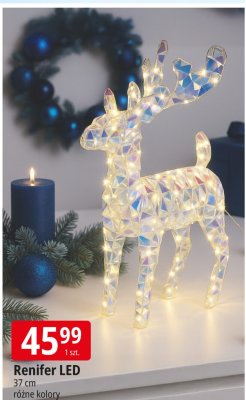 Renifer LED 37 cm różne kolory promocja w Leclerc