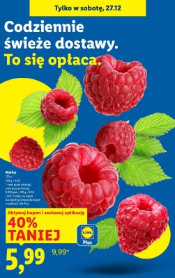 Maliny promocja w Lidl