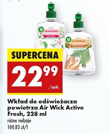 Odświeżacz powietrza drzewo sandałowe Air wick active fresh promocja w Biedronka