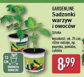 Sadzonki owoców promocja w Aldi
