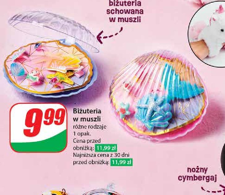 Biżuteria w muszli promocja