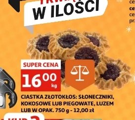 Ciastka słoneczniki Złotokłos promocja