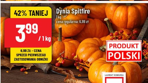 Dynia spitfire promocja