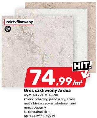 Gres szkliwiony Ardea promocja w Bricomarche