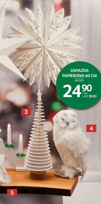 Gwiazda Papierowa 60 cm promocja w Selgros