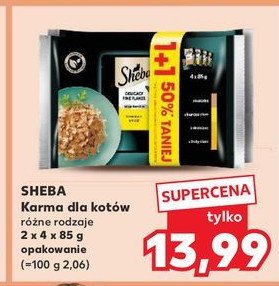 Karma dla kota drobiowa Sheba craft collection promocja