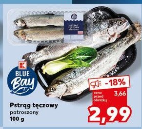 Pstr膮g t臋czowy patroszony K-classic blue bay promocja