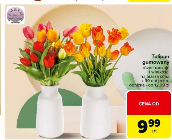 Tulipan gumowany promocja w Carrefour