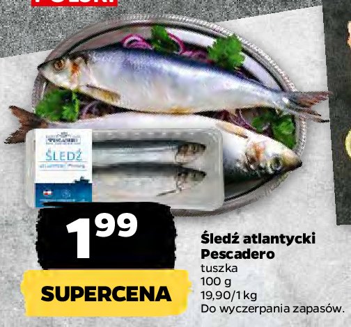 Śledź atlantycki tusza Pescadero promocja