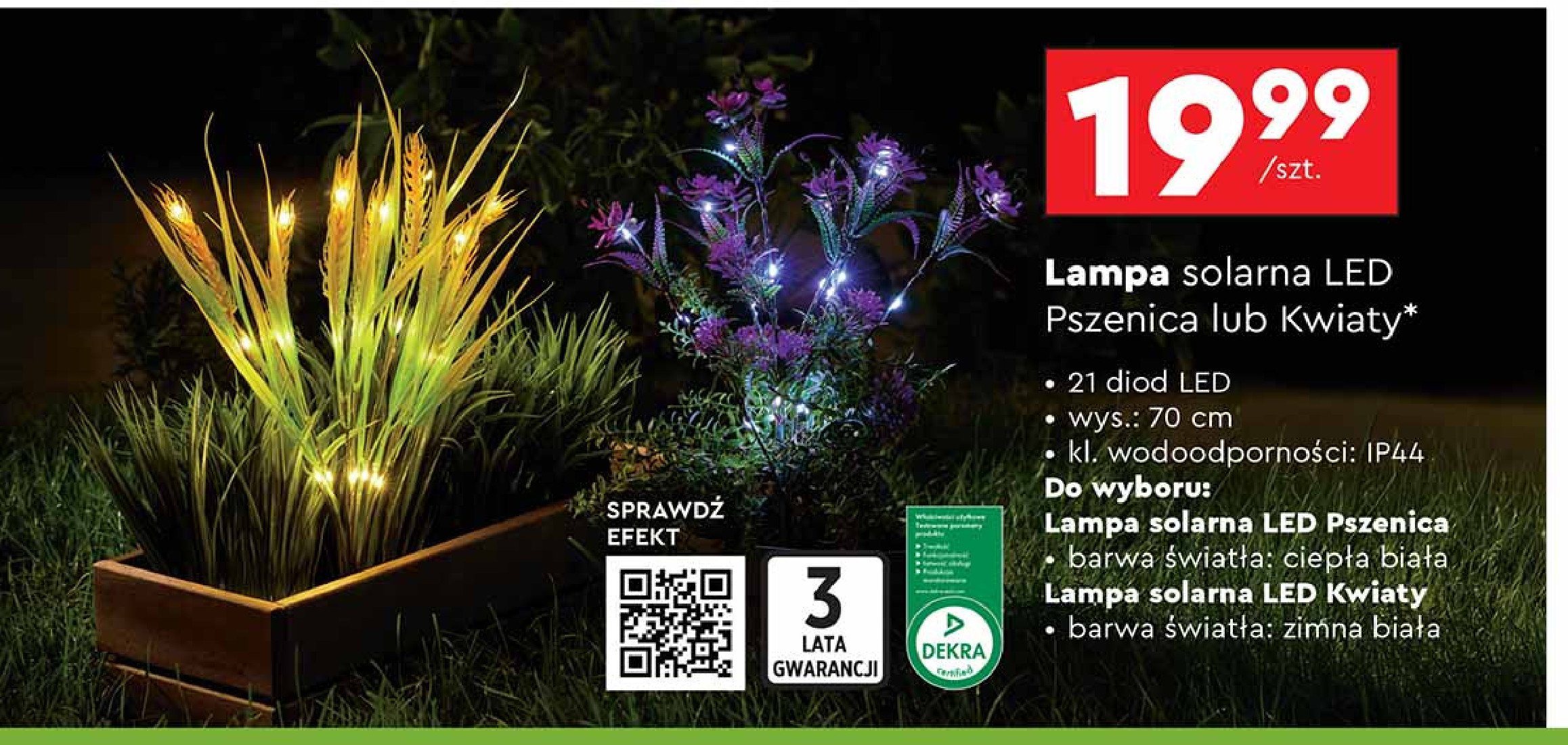 Lampa solarna led pszenica promocja w Biedronka