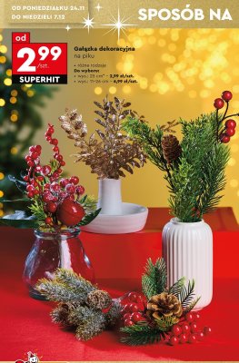 Gałązka dekoracyjna na piku 11-26 cm promocja w Biedronka