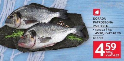 Dorada patroszona 250-330 g promocja w Selgros