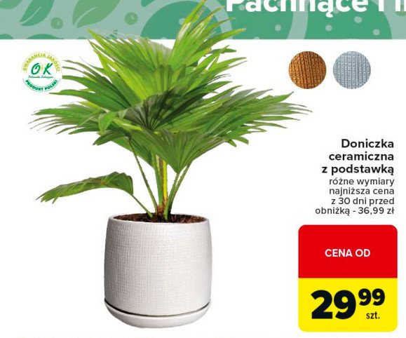 Doniczka ceramiczna z podstawką promocja w Carrefour