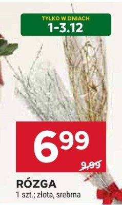 Różga promocja w Stokrotka
