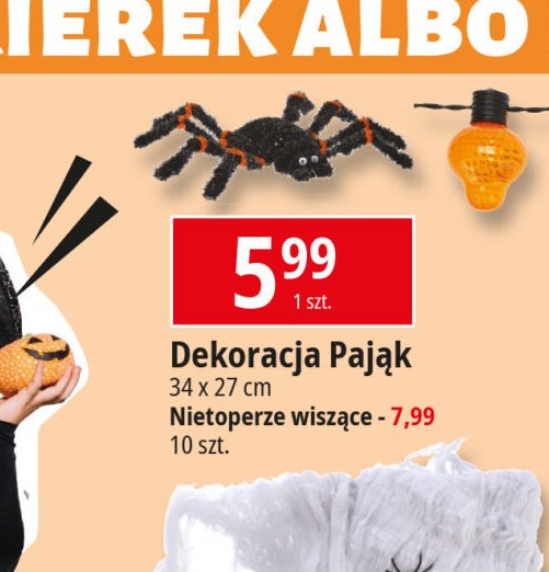 Dekoracja pająk promocja