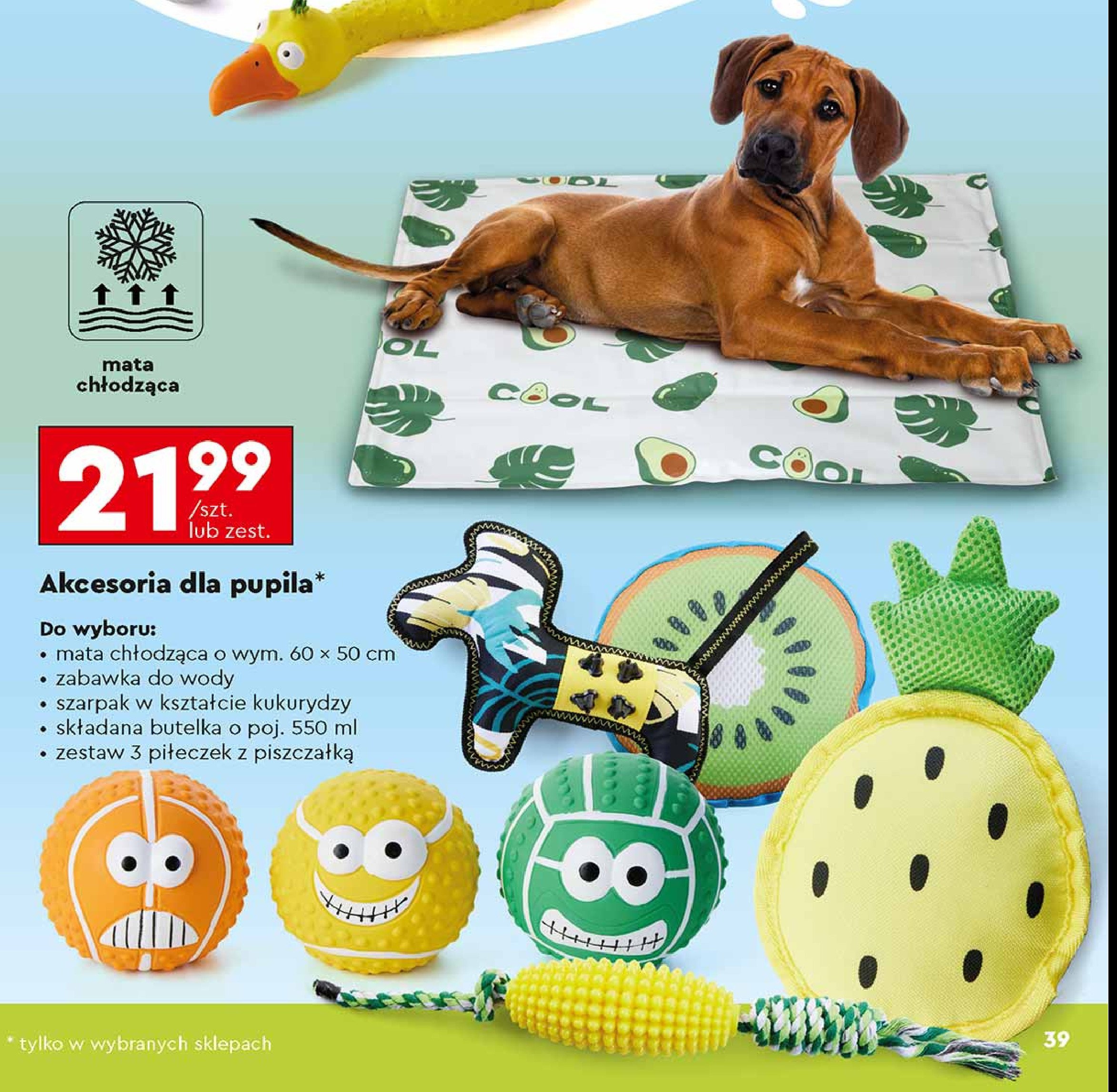 Mata chłodząca dla zwierząt 60 x 50 cm promocja w Biedronka
