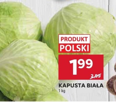 Kapusta biała promocja w Stokrotka