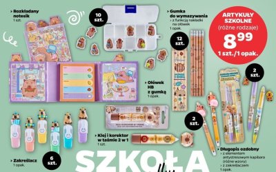 Klej i korektor w taśmie 2 w 1 promocja w Netto