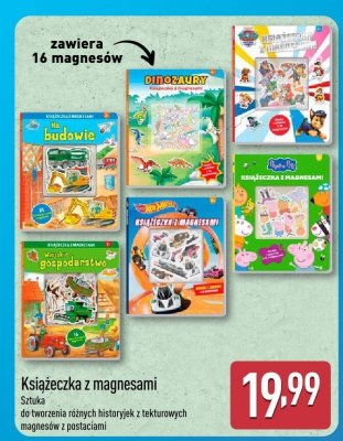 Książeczka z magnesami, różne rodzaje promocja w Aldi