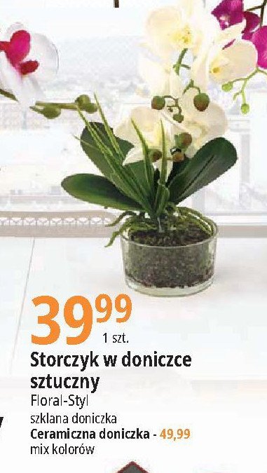 Storczyk sztuczny w os艂onie ceramicznej promocja