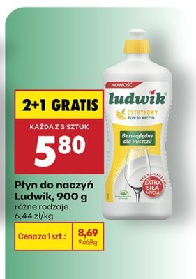 Płyn do naczyń Ludwik, 900 g różne rodzaje promocja w Biedronka