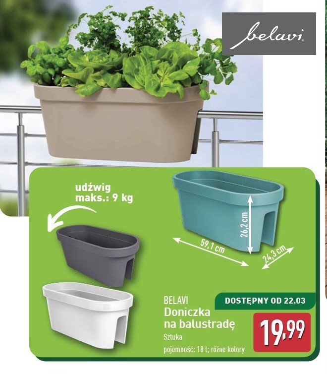 Doniczka na balustradę BELAVI promocja w Aldi