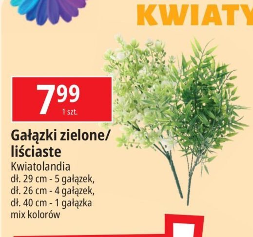 Gałązki zielone 29 cm Kwiatolandia promocja