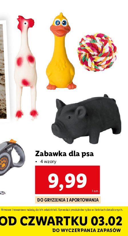 Zabawka dla psa kaczka promocja