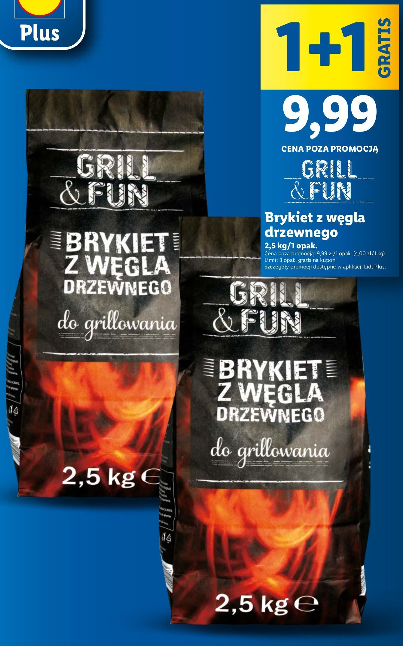 Brykiet węgla drzewnego Grill and fun promocja