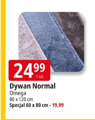 Dywan Normal Omega promocja w Leclerc