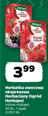 Herbatka owocowa ekspresowa Herbaciany Ogród  promocja w Netto