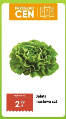 Sałata masłowa szt promocja w Dino