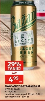 Piwo Z艂oty ba偶ant promocja
