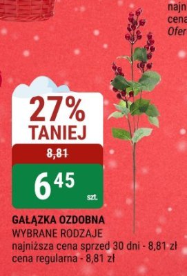 Gałązka ozdobna wybrane rodzaje promocja w bi1