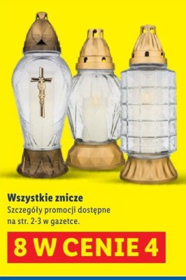 Chryzantemy doniczkowe promocja w Lidl