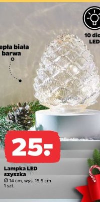 Lampka LED szyszka  promocja w Netto